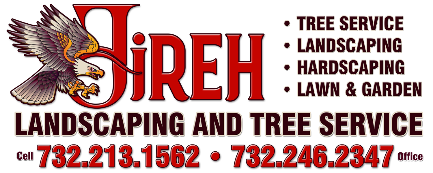 Avatar for JIREH LANDSCAPING & TREE SERVICE